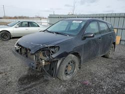 Salvage cars for sale at Ottawa, ON auction: 2008 Toyota Corolla Matrix XR