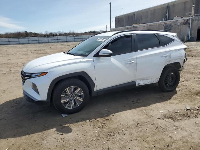 2022 Hyundai Tucson Blue