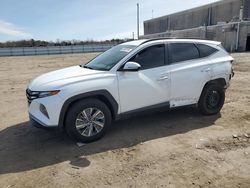 Hyundai Tucson Vehiculos salvage en venta: 2022 Hyundai Tucson Blue