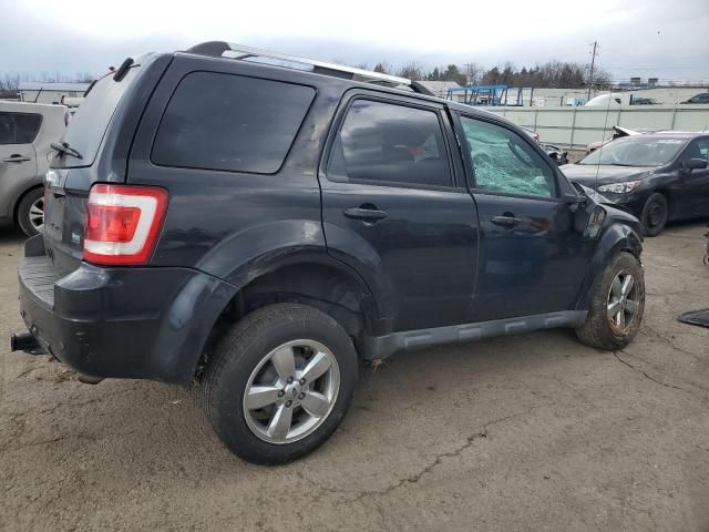 2011 Ford Escape Limited