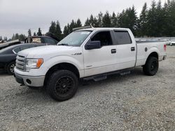 Vehiculos salvage en venta de Copart Graham, WA: 2013 Ford F150 Supercrew