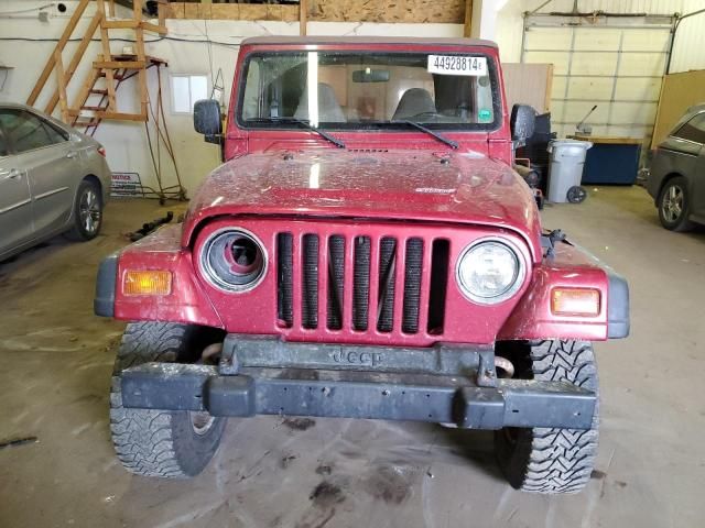 1999 Jeep Wrangler / TJ Sport