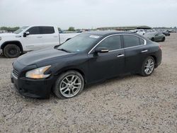 Salvage cars for sale at Houston, TX auction: 2010 Nissan Maxima S