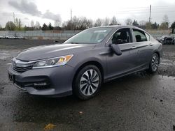 Honda Accord salvage cars for sale: 2017 Honda Accord Hybrid EXL