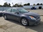 2008 Nissan Altima Hybrid