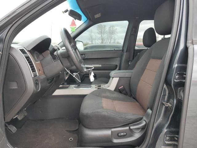 2008 Ford Escape XLT