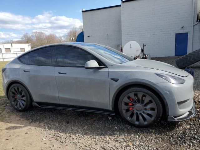 2023 Tesla Model Y