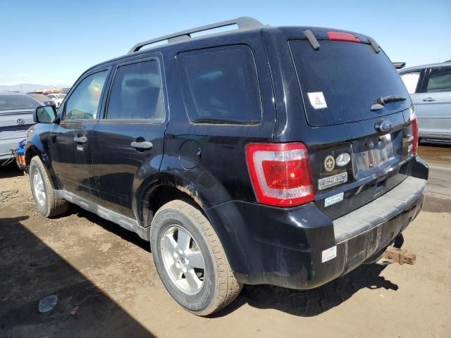 2012 Ford Escape XLT