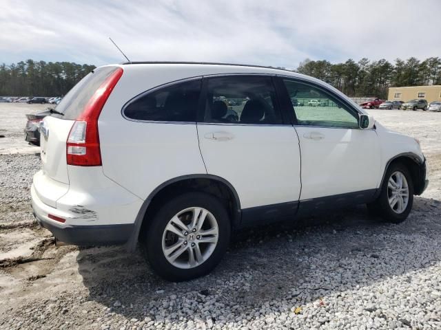 2010 Honda CR-V EXL