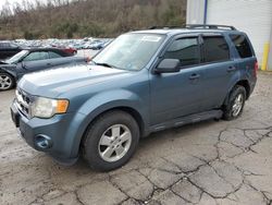 Salvage cars for sale at Hurricane, WV auction: 2012 Ford Escape XLT