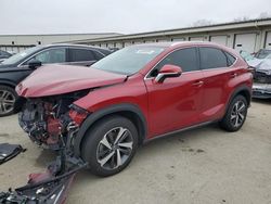 Lexus NX 300 salvage cars for sale: 2020 Lexus NX 300