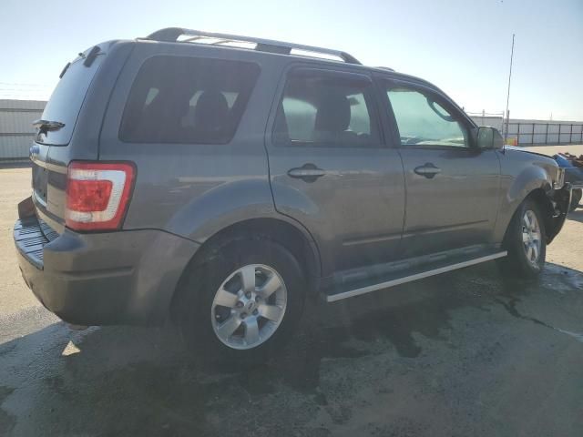 2010 Ford Escape Limited