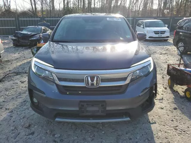 2019 Honda Pilot EXL