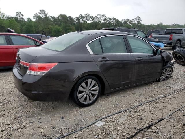 2011 Honda Accord EXL