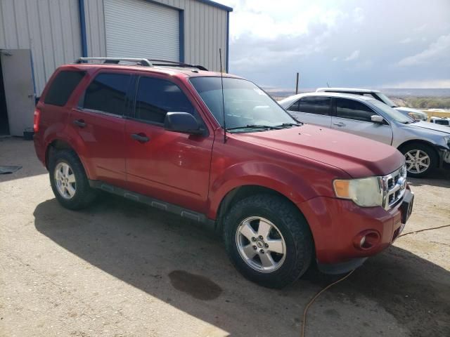 2012 Ford Escape XLT