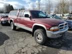 2000 Dodge Dakota