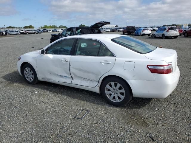 2009 Toyota Camry Hybrid