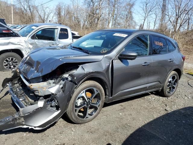 2023 Ford Escape ST Line Plus