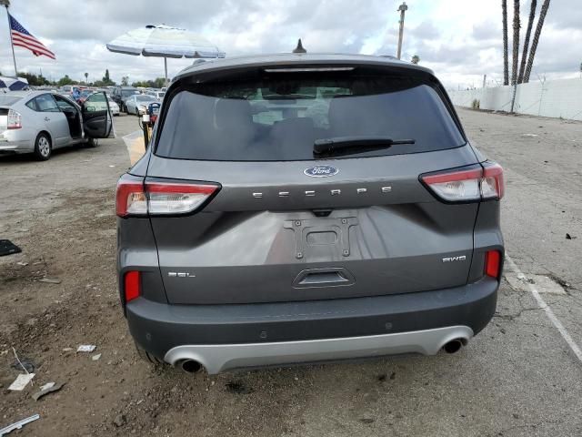 2021 Ford Escape SEL