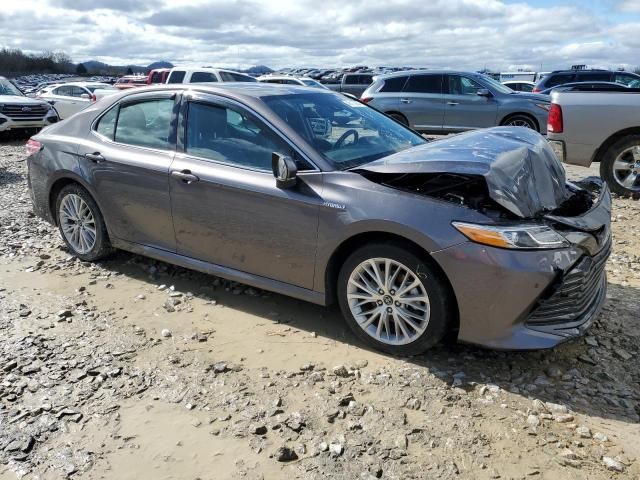 2019 Toyota Camry Hybrid