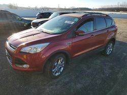 Salvage cars for sale at Mcfarland, WI auction: 2013 Ford Escape SEL