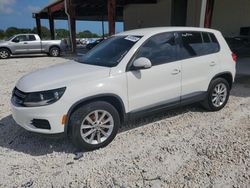 Salvage cars for sale at Homestead, FL auction: 2014 Volkswagen Tiguan S