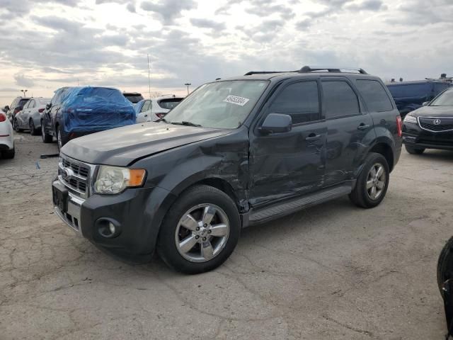 2009 Ford Escape Limited