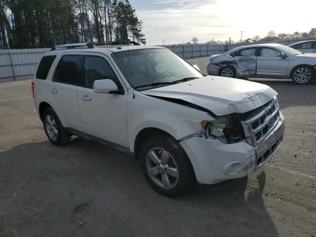 2011 Ford Escape Limited