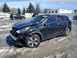 KIA Niro salvage cars for sale: 2020 KIA Niro LX