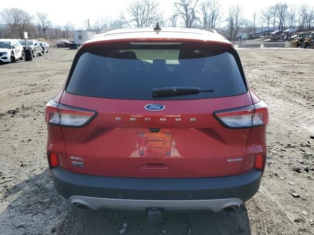 2022 Ford Escape SEL