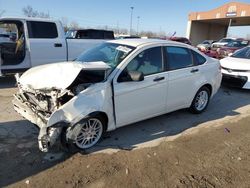 Ford Focus SE salvage cars for sale: 2010 Ford Focus SE