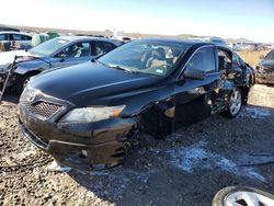 Salvage cars for sale from Copart Magna, UT: 2010 Toyota Camry Base