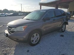 Salvage cars for sale from Copart Homestead, FL: 2011 Honda CR-V EX