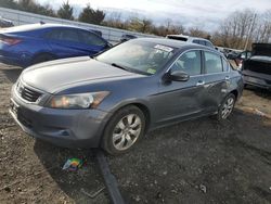 Salvage cars for sale at Windsor, NJ auction: 2008 Honda Accord EXL