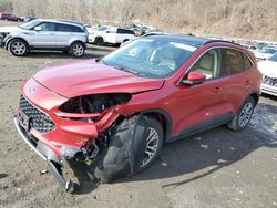 Salvage cars for sale from Copart Marlboro, NY: 2022 Ford Escape SEL