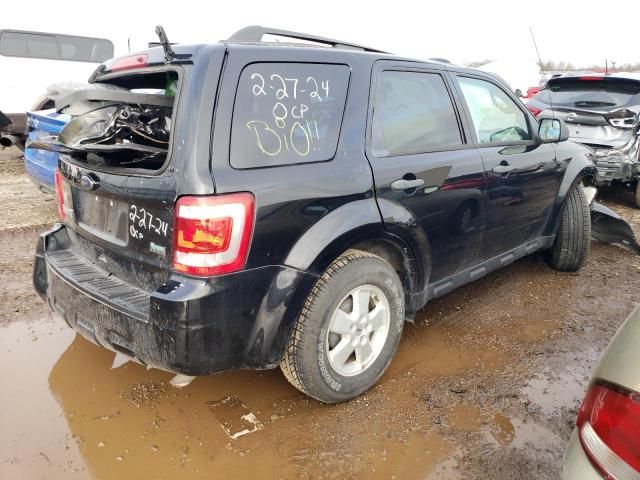 2010 Ford Escape XLT