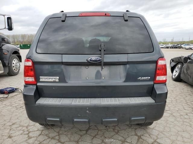 2008 Ford Escape XLT