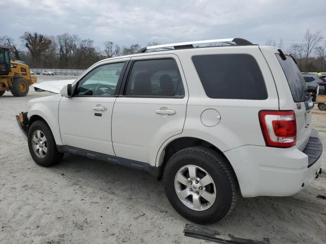 2011 Ford Escape Limited