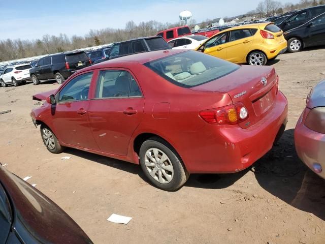 2009 Toyota Corolla Base