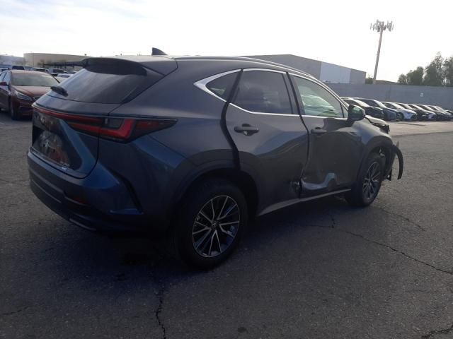 2022 Lexus NX 350