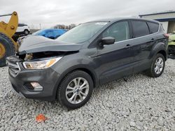 2019 Ford Escape SE for sale in Wayland, MI