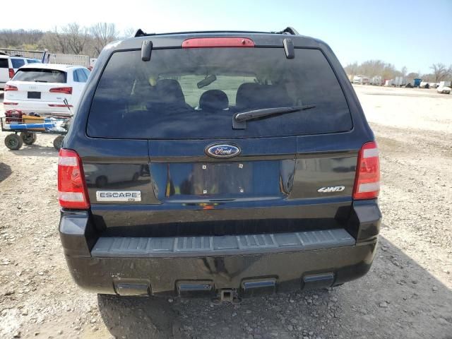 2008 Ford Escape XLT