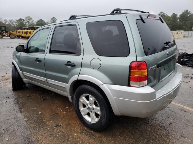 2007 Ford Escape XLT