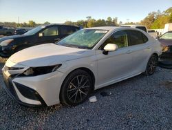 Salvage cars for sale from Copart Riverview, FL: 2022 Toyota Camry SE