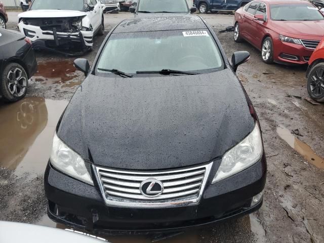 2010 Lexus ES 350