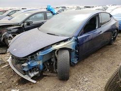 Salvage cars for sale at Brighton, CO auction: 2022 Tesla Model 3