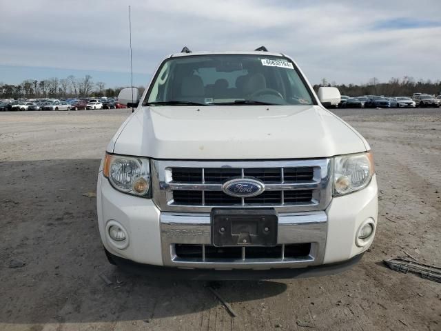 2009 Ford Escape Hybrid