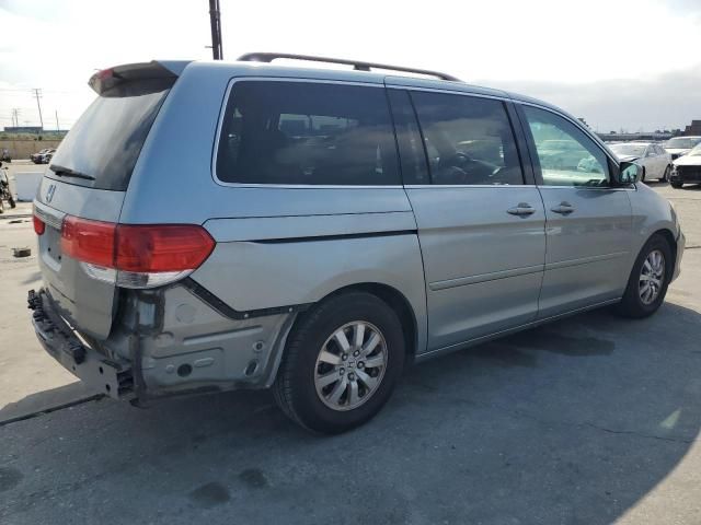 2008 Honda Odyssey EXL