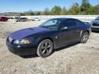 2004 Ford Mustang