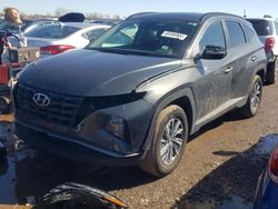 Salvage cars for sale at Elgin, IL auction: 2022 Hyundai Tucson Blue